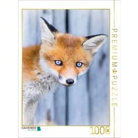 CALVENDO Puzzle Fuchswelpen Portrait 1000 Teile Lege-Größe 64x48cm Foto-Puzzle für glückliche Stunden von Calvendo Puzzle