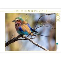 CALVENDO Puzzle Gabelracke mit lilafarbener Brust in Botswana 1000 Teile Lege-Größe 64x48cm Foto-Puzzle für glückliche Stunden CALVENDO Puzzle Gabelracke mit lilafarbener Brust in Botswana 1000 Teile Lege-Größe 64x48cm Foto-Puzzle für glückliche Stunden von Calvendo Puzzle