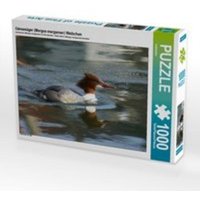 CALVENDO Puzzle Gänsesäger (Mergus merganser) Weibchen 1000 Teile Lege-Größe 64 x 48 cm Foto-Puzzle Bild von kattobello von CALVENDO Verlag GmbH