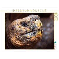 CALVENDO Puzzle Galapagos Riesenschildkröte 2000 Teile Lege-Größe 90x67cm Foto-Puzzle für glückliche Stunden CALVENDO Puzzle Galapagos Riesenschildkröte 2000 Teile Lege-Größe 90x67cm Foto-Puzzle für glückliche Stunden von Calvendo Puzzle