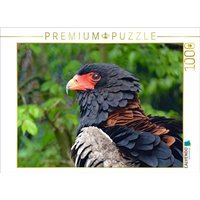 CALVENDO Puzzle Gaukler 1000 Teile Lege-Größe 64x48cm Foto-Puzzle für glückliche Stunden CALVENDO Puzzle Gaukler 1000 Teile Lege-Größe 64x48cm Foto-Puzzle für glückliche Stunden von CALVENDO Verlag GmbH