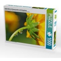 CALVENDO Puzzle Gelbe Blüte mit Wassertropfen und Spiegelung 1000 Teile Lege-Größe 64 x 48 cm Foto-Puzzle Bild von Susanne Herppich CALVENDO Puzzle Gelbe Blüte mit Wassertropfen und Spiegelung 1000 Teile Lege-Größe 64 x 48 cm Foto-Puzzle Bild von Susanne Herppich von Calvendo Puzzle