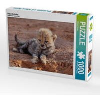 CALVENDO Puzzle Gepardenbaby 1000 Teile Lege-Größe 64 x 48 cm Foto-Puzzle Bild von Michael Herzog CALVENDO Puzzle Gepardenbaby 1000 Teile Lege-Größe 64 x 48 cm Foto-Puzzle Bild von Michael Herzog von Calvendo Puzzle