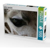 CALVENDO Puzzle Giraffen - Augen-Blick 1000 Teile Lege-Größe 64 x 48 cm Foto-Puzzle Bild von Michael Herzog von Calvendo Puzzle