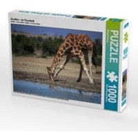 CALVENDO Puzzle Giraffen - Im Flussbett 1000 Teile Lege-Größe 64 x 48 cm Foto-Puzzle Bild von Michael Herzog CALVENDO Puzzle Giraffen - Im Flussbett 1000 Teile Lege-Größe 64 x 48 cm Foto-Puzzle Bild von Michael Herzog von Calvendo Puzzle