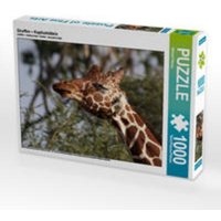 CALVENDO Puzzle Giraffen - Kopfschütteln 1000 Teile Lege-Größe 64 x 48 cm Foto-Puzzle Bild von Michael Herzog von Calvendo Puzzle
