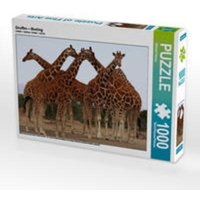 CALVENDO Puzzle Giraffen - Meeting 1000 Teile Lege-Größe 64 x 48 cm Foto-Puzzle Bild von Michael Herzog CALVENDO Puzzle Giraffen - Meeting 1000 Teile Lege-Größe 64 x 48 cm Foto-Puzzle Bild von Michael Herzog von Calvendo Puzzle