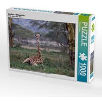 CALVENDO Puzzle Giraffen - Mittagsruhe 1000 Teile Lege-Größe 64 x 48 cm Foto-Puzzle Bild von Michael Herzog CALVENDO Puzzle Giraffen - Mittagsruhe 1000 Teile Lege-Größe 64 x 48 cm Foto-Puzzle Bild von Michael Herzog von Calvendo Puzzle
