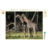 CALVENDO Puzzle Giraffen - Zwillinge 500 Teile Lege-Größe 48 × 36 cm Foto-Puzzle für Erwachsene CALVENDO Puzzle Giraffen - Zwillinge 500 Teile Lege-Größe 48 × 36 cm Foto-Puzzle für Erwachsene von Calvendo Puzzle