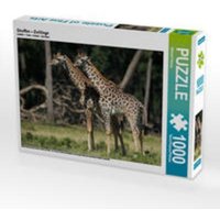 CALVENDO Puzzle Giraffen - Zwillinge 1000 Teile Lege-Größe 64 x 48 cm Foto-Puzzle Bild von Michael Herzog von xxx