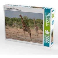 CALVENDO Puzzle Giraffen im Etosha Nationalpark 2000 Teile Puzzle quer 2000 Teile Lege-Größe 90 × 67 cm Foto-Puzzle für glückliche Stunden CALVENDO Puzzle Giraffen im Etosha Nationalpark 2000 Teile Puzzle quer 2000 Teile Lege-Größe 90 × 67 cm Foto-Puzzle für glückliche Stunden von Calvendo Puzzle