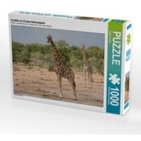 CALVENDO Puzzle Giraffen im Etosha Nationalpark 1000 Teile Lege-Größe 64 x 48 cm Foto-Puzzle Bild von Sabine Reuke von xxx