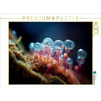 CALVENDO Puzzle Gläserne Pilze - Mikroorganismen 1000 Teile Lege-Größe 64x48cm Foto-Puzzle für glückliche Stunden CALVENDO Puzzle Gläserne Pilze - Mikroorganismen 1000 Teile Lege-Größe 64x48cm Foto-Puzzle für glückliche Stunden von Calvendo Puzzle