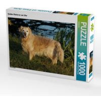 CALVENDO Puzzle Golden Retriever am Ufer 1000 Teile Lege-Größe 64 x 48 cm Foto-Puzzle Bild von kattobello von Calvendo Puzzle