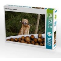 CALVENDO Puzzle Golden Retriever im Winter 1000 Teile Lege-Größe 64 x 48 cm Foto-Puzzle Bild von Kattobello von Calvendo Puzzle