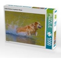 CALVENDO Puzzle Golden Retriever im goldenen Wasser 1000 Teile Lege-Größe 64 x 48 cm Foto-Puzzle Bild von Kattobello von xxx