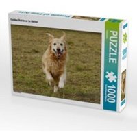 CALVENDO Puzzle Golden Retriever in Aktion 1000 Teile Lege-Größe 64 x 48 cm Foto-Puzzle Bild von Kattobello CALVENDO Puzzle Golden Retriever in Aktion 1000 Teile Lege-Größe 64 x 48 cm Foto-Puzzle Bild von Kattobello von Calvendo Puzzle