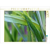 CALVENDO Puzzle Gras in den Bergen nach dem Regen 1000 Teile Lege-Größe 64x48cm Foto-Puzzle für glückliche Stunden von CALVENDO Verlag GmbH