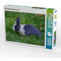CALVENDO Puzzle Grau weißes Kaninchen on Tour 1000 Teile Lege-Größe 64 x 48 cm Foto-Puzzle Bild von Kattobello von xxx