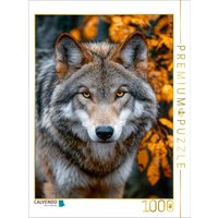 CALVENDO Puzzle Great Plains Wolf mit intensivem Blick im Herbstwald 1000 Teile Lege-Größe 64x48cm Foto-Puzzle für glückliche Stunden CALVENDO Puzzle Great Plains Wolf mit intensivem Blick im Herbstwald 1000 Teile Lege-Größe 64x48cm Foto-Puzzle für glückliche Stunden von Calvendo Puzzle