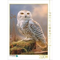 CALVENDO Puzzle Greifvögel 2000 Teile Lege-Größe 90x67cm Foto-Puzzle für glückliche Stunden CALVENDO Puzzle Greifvögel 2000 Teile Lege-Größe 90x67cm Foto-Puzzle für glückliche Stunden von CALVENDO Verlag GmbH