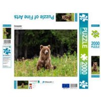 CALVENDO Puzzle Grizzlybär 2000 Teile Lege-Größe 900 x 670 cm Foto-Puzzle Bild von Roland Brack von Calvendo Puzzle