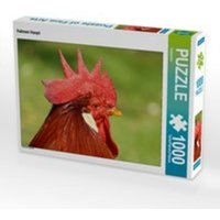 CALVENDO Puzzle Hahnen Haupt 1000 Teile Lege-Größe 64 x 48 cm Foto-Puzzle Bild von Kattobello von xxx