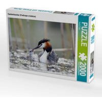 CALVENDO Puzzle Haubentaucher (Podiceps cristatus) 2000 Teile Puzzle quer 2000 Teile Lege-Größe 90 × 67 cm Foto-Puzzle für glückliche Stunden von Calvendo Puzzle