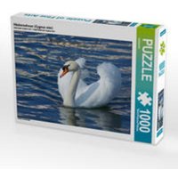 CALVENDO Puzzle Höckerschwan (Cygnus olor) 1000 Teile Lege-Größe 64 x 48 cm Foto-Puzzle Bild von kattobello von Calvendo Puzzle