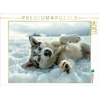 CALVENDO Puzzle Husky liegt im Schnee 1000 Teile Lege-Größe 64x48cm Foto-Puzzle für glückliche Stunden von Calvendo Puzzle