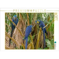 CALVENDO Puzzle Hyazintharas 1000 Teile Lege-Größe 64x48cm Foto-Puzzle für glückliche Stunden CALVENDO Puzzle Hyazintharas 1000 Teile Lege-Größe 64x48cm Foto-Puzzle für glückliche Stunden von CALVENDO Verlag GmbH