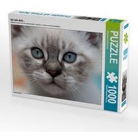 CALVENDO Puzzle Ich seh dich... 1000 Teile Lege-Größe 64 x 48 cm Foto-Puzzle Bild von Christiane Calmbacher CALVENDO Puzzle Ich seh dich... 1000 Teile Lege-Größe 64 x 48 cm Foto-Puzzle Bild von Christiane Calmbacher von Calvendo Puzzle