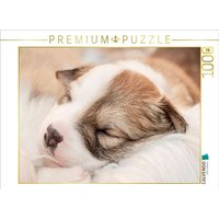 CALVENDO Puzzle Im Reich der Träume 1000 Teile Lege-Größe 64x48cm Foto-Puzzle für glückliche Stunden CALVENDO Puzzle Im Reich der Träume 1000 Teile Lege-Größe 64x48cm Foto-Puzzle für glückliche Stunden von Calvendo Puzzle