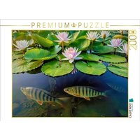 CALVENDO Puzzle Im Tanz der Seerosen. 2000 Teile Lege-Größe 90 × 67 cm Foto-Puzzle für glückliche Stunden von Calvendo Puzzle