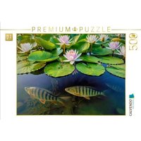 CALVENDO Puzzle Im Tanz der Seerosen. 500 Teile Lege-Größe 48 × 36 cm Foto-Puzzle für glückliche Stunden CALVENDO Puzzle Im Tanz der Seerosen. 500 Teile Lege-Größe 48 × 36 cm Foto-Puzzle für glückliche Stunden von Calvendo Puzzle