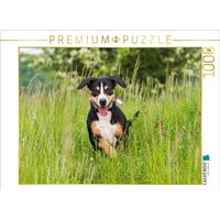 CALVENDO Puzzle Im hohen Gras 1000 Teile Lege-Größe 64x48cm Foto-Puzzle für glückliche Stunden CALVENDO Puzzle Im hohen Gras 1000 Teile Lege-Größe 64x48cm Foto-Puzzle für glückliche Stunden von CALVENDO Verlag GmbH