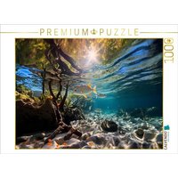 CALVENDO Puzzle In den Mangroven - tropische Fische 1000 Teile Lege-Größe 64x48cm Foto-Puzzle für glückliche Stunden CALVENDO Puzzle In den Mangroven - tropische Fische 1000 Teile Lege-Größe 64x48cm Foto-Puzzle für glückliche Stunden von Calvendo Puzzle