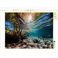 CALVENDO Puzzle In den Mangroven - tropische Fische 2000 Teile Lege-Größe 90x67cm Foto-Puzzle für glückliche Stunden von Calvendo Puzzle
