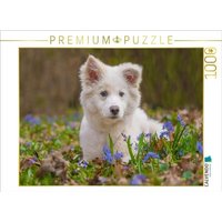 CALVENDO Puzzle Islandhundwelpe im Scillawald 1000 Teile Lege-Größe 64x48cm Foto-Puzzle für glückliche Stunden CALVENDO Puzzle Islandhundwelpe im Scillawald 1000 Teile Lege-Größe 64x48cm Foto-Puzzle für glückliche Stunden von CALVENDO Verlag GmbH