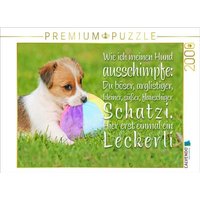 CALVENDO Puzzle Jack Russell Terrier Welpe liegt in der Wiese und knabbert an einem Ball 2000 Teile Lege-Größe 90x67cm Foto-Puzzle für glückliche Stunden von CALVENDO Verlag GmbH