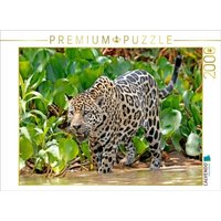 CALVENDO Puzzle Jaguar auf der Pirsch 2000 Teile Lege-Größe 90x67cm Foto-Puzzle für glückliche Stunden von Calvendo Puzzle