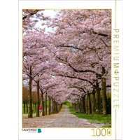 CALVENDO Puzzle Japanische Blütenkirschen im Paradiesgarten 1000 Teile Lege-Größe 64x48cm Foto-Puzzle für glückliche Stunden von Calvendo Puzzle