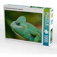 CALVENDO Puzzle Jemenchamäleon (Chamaeleo calyptratus) 1000 Teile Lege-Größe 64 x 48 cm Foto-Puzzle Bild von kattobello von Calvendo Puzzle