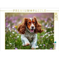 CALVENDO Puzzle Junger American Cocker Spaniel 1000 Teile Lege-Größe 64x48cm Foto-Puzzle für glückliche Stunden CALVENDO Puzzle Junger American Cocker Spaniel 1000 Teile Lege-Größe 64x48cm Foto-Puzzle für glückliche Stunden von Calvendo Puzzle