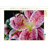 CALVENDO Puzzle Kalanchoe 1000 Teile Lege-Größe 64x48cm Foto-Puzzle für glückliche Stunden von Calvendo Puzzle