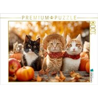 CALVENDO Puzzle Katzen im Herbst zwischen Kürbissen und Äpfeln 1000 Teile Lege-Größe 64x48cm Foto-Puzzle für glückliche Stunden von Calvendo Puzzle