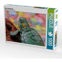 CALVENDO Puzzle Kleine Schildkröte 1000 Teile Lege-Größe 64x48cm Foto-Puzzle für glückliche Stunden CALVENDO Puzzle Kleine Schildkröte 1000 Teile Lege-Größe 64x48cm Foto-Puzzle für glückliche Stunden von Calvendo Puzzle