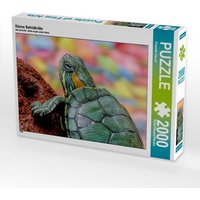 CALVENDO Puzzle Kleine Schildkröte 2000 Teile Lege-Größe 90x67cm Foto-Puzzle für glückliche Stunden CALVENDO Puzzle Kleine Schildkröte 2000 Teile Lege-Größe 90x67cm Foto-Puzzle für glückliche Stunden von Calvendo Puzzle