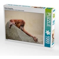 CALVENDO Puzzle Kleiner Orang Utan 1000 Teile Lege-Größe 64 x 48 cm Foto-Puzzle Bild von Heike Hultsch von Calvendo Puzzle