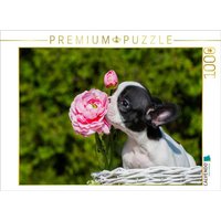 CALVENDO Puzzle Kleiner Rosenkavalier - Französische Bulldogge 1000 Teile Lege-Größe 64x48cm Foto-Puzzle für glückliche Stunden CALVENDO Puzzle Kleiner Rosenkavalier - Französische Bulldogge 1000 Teile Lege-Größe 64x48cm Foto-Puzzle für glückliche Stunden von CALVENDO Verlag GmbH
